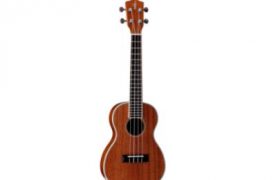 十大最简单的自学乐器(可简单自学乐器前十名)