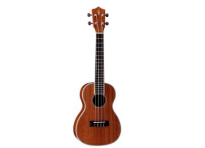 十大最简单的自学乐器(可简单自学乐器前十名)