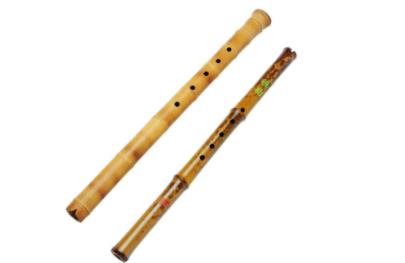 十大最简单的自学乐器(可简单自学乐器前十名)