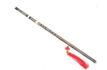 十大最简单的自学乐器(可简单自学乐器前十名)