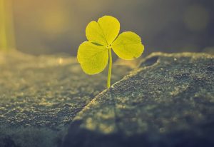 酱油能加热吗,酱油加热后有什么危害