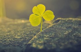 酱油能加热吗,酱油加热后有什么危害