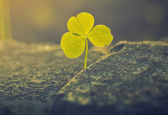 酱油能加热吗,酱油加热后有什么危害