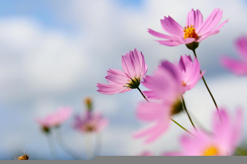 宇宙的免费图片